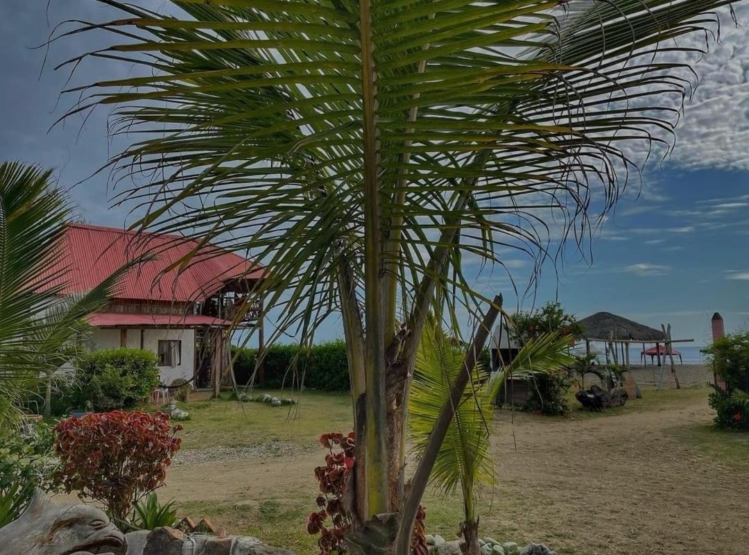 Hotel Palma Coco Ayampe Zewnętrze zdjęcie